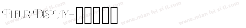 Fleur Display字体转换